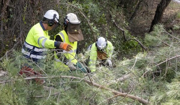 La Diputación invierte más de un millón de euros en blindar Sierra Morena contra los incendios forestales