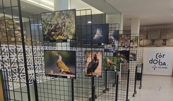 Inaugurada en Córdoba la exposición fotográfica ‘Sierra Morena Observada’ sobre la biodiversidad de la provincia
