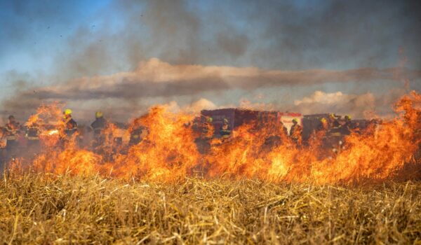 Investigan a una persona en Espiel por un incendio forestal originado por una presunta negligencia